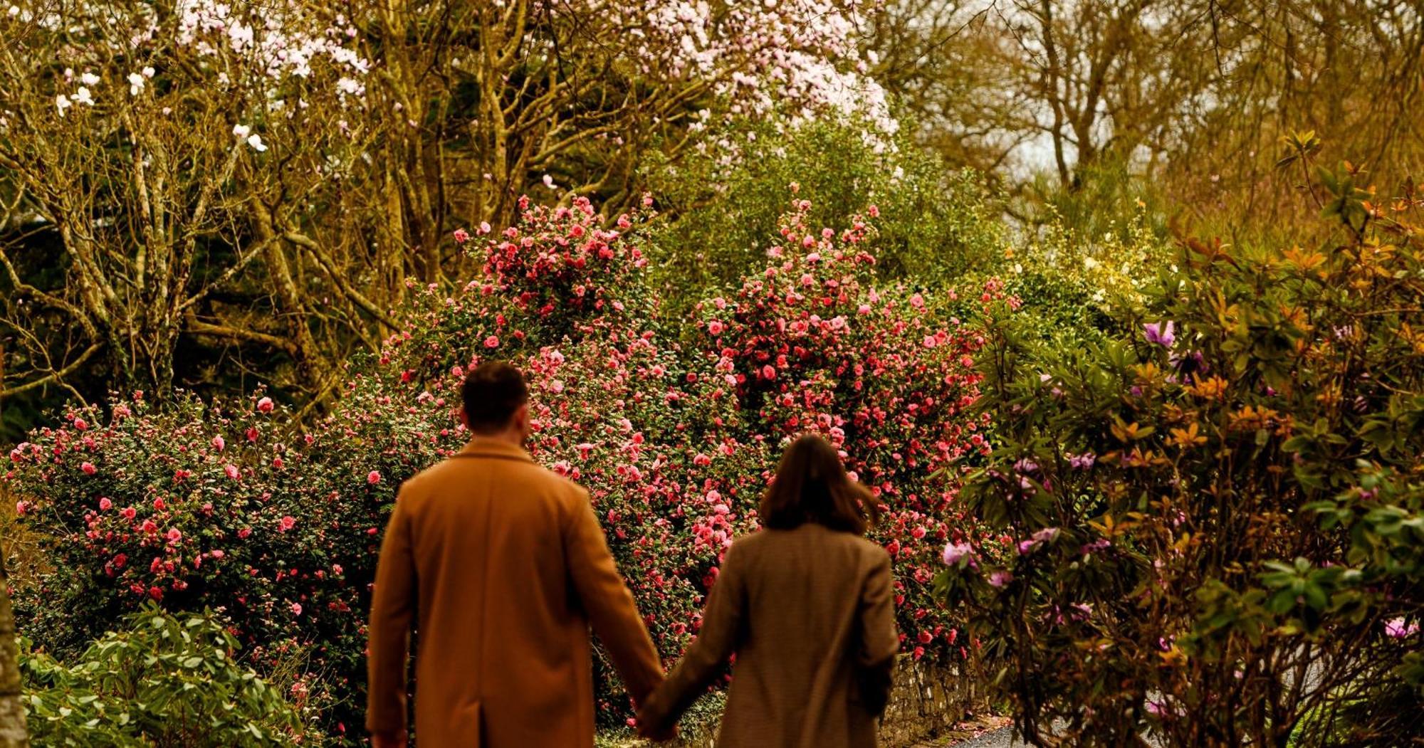 The Forest At Mount Congreve Gardens Kilmeaden Exterior foto