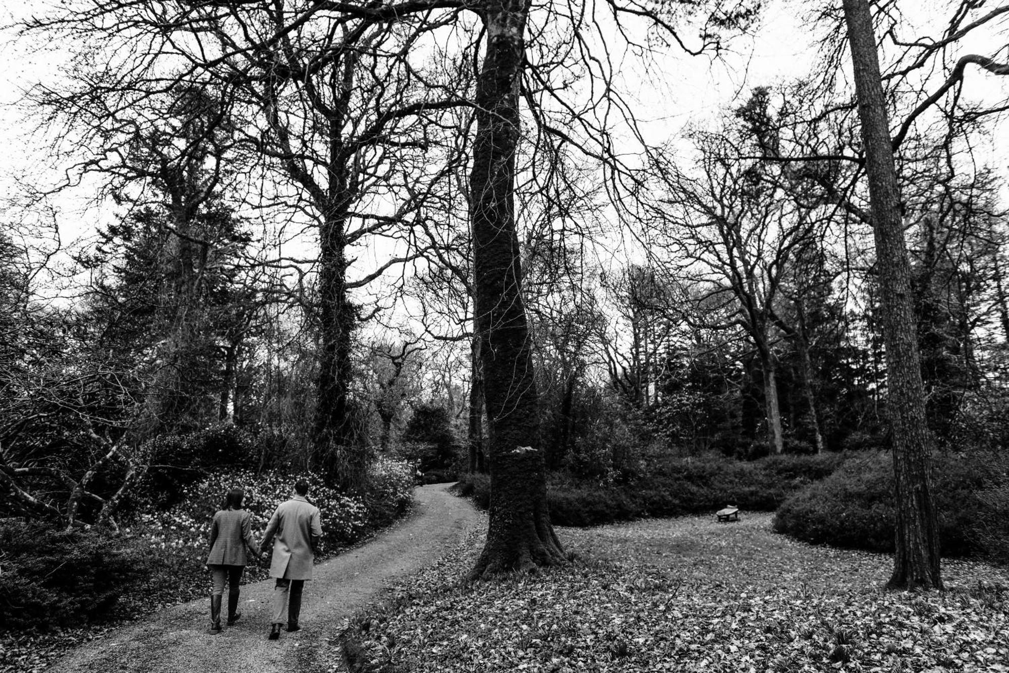 The Forest At Mount Congreve Gardens Kilmeaden Exterior foto